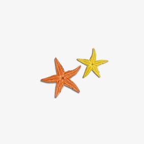 两个海星