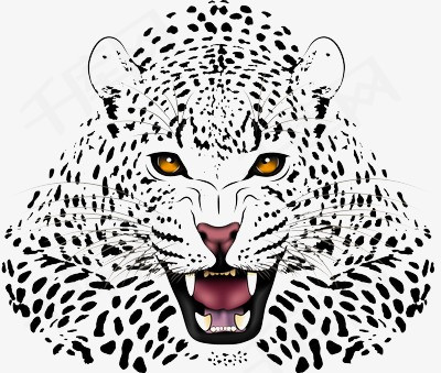 黑色斑点老虎插画