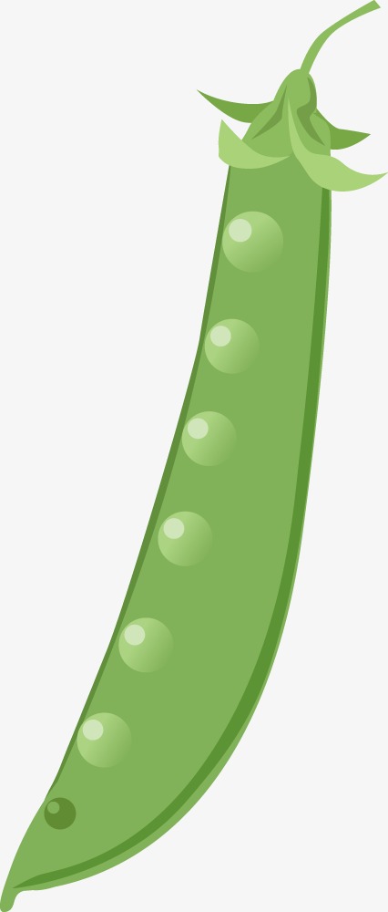 手绘豆角绿色