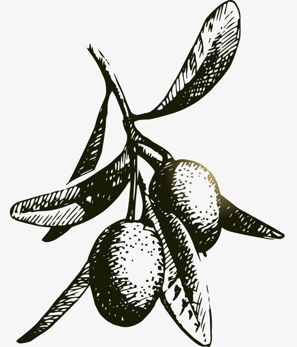 矢量手绘大果子二