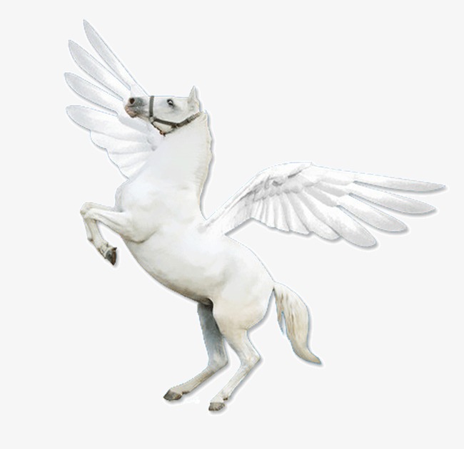 卡通动物马吃西瓜边框装饰图案png