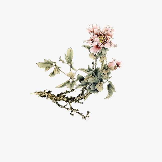 牡丹花矢量_工笔画牡丹花png素材-90设计