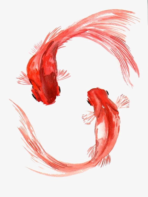 金鱼海报_金鱼png素材-90设计