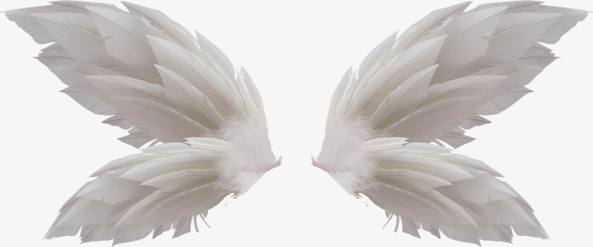 白色羽翼_羽翼png素材-90设计