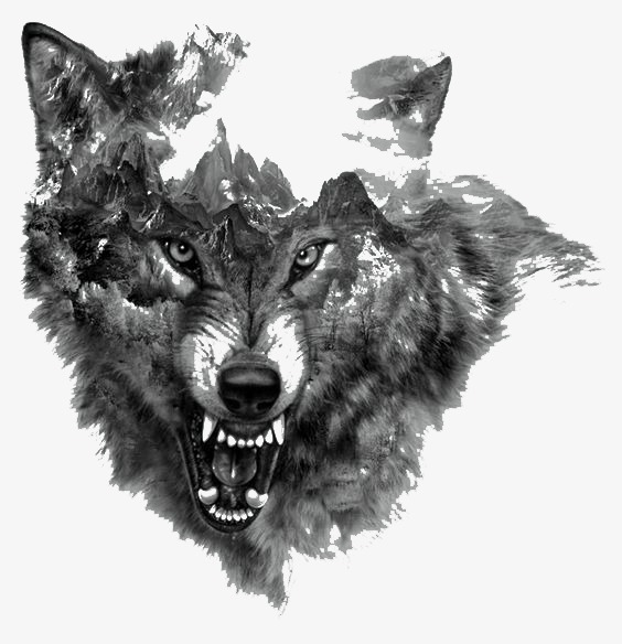 手绘水彩野狼插画