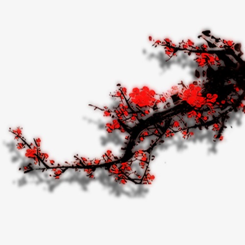 梅花为什么不是中国国花