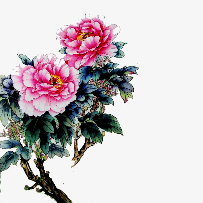 国画牡丹_牡丹png素材-90设计