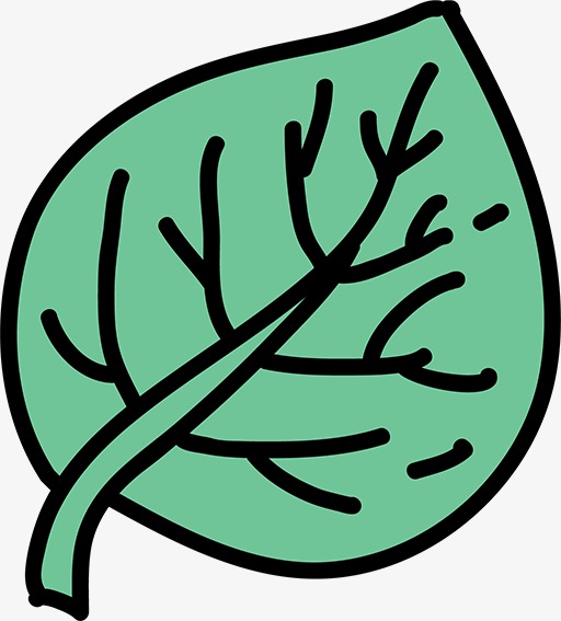 简笔画树叶