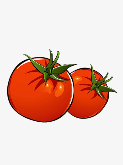 番茄简笔画图片带颜色图片