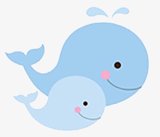 可爱的鲸鱼一家