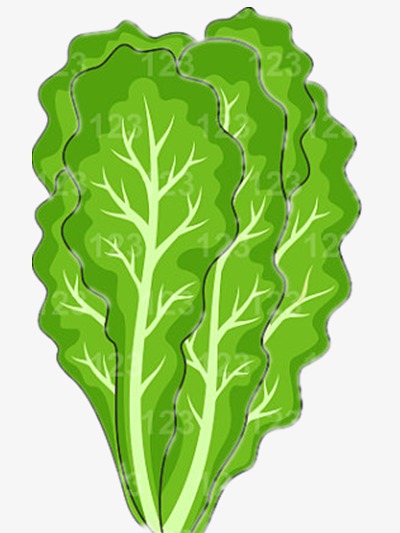 白菜卡通_白菜png素材-90设计