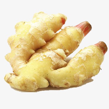 姜茶海报_姜png素材-90设计