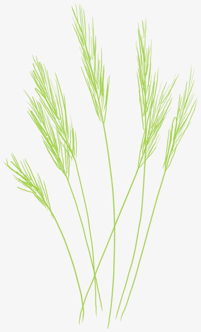 矢量小图标_小草png素材-90设计