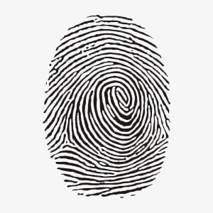 科技指纹科技感线条蓝色酷炫立体透明元素