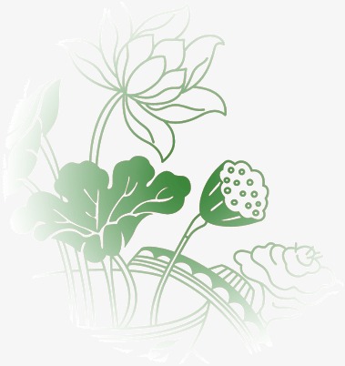 莲花矢量_莲花png素材-90设计