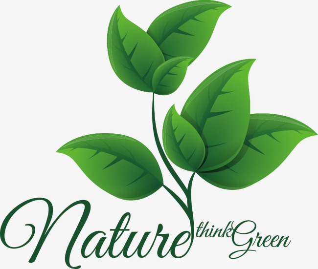 矢量卡通创意绿叶