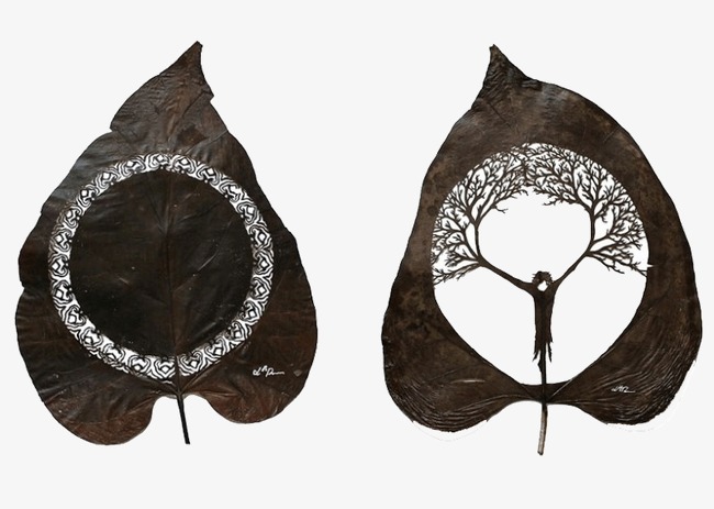 创意树叶png素材-90设计