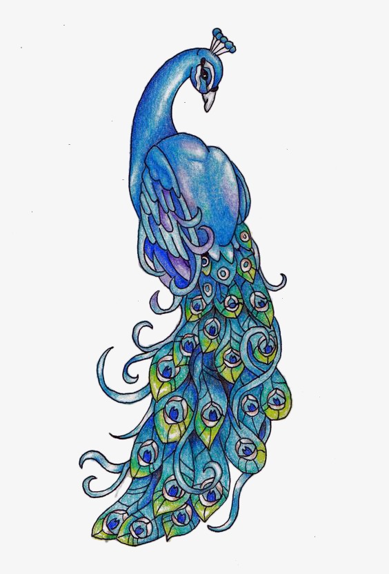 国潮系列手绘中国风吉兽孔雀png