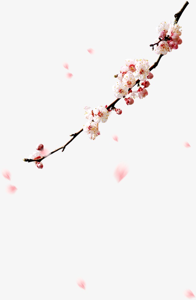 梅花花瓣_梅花png素材-90设计