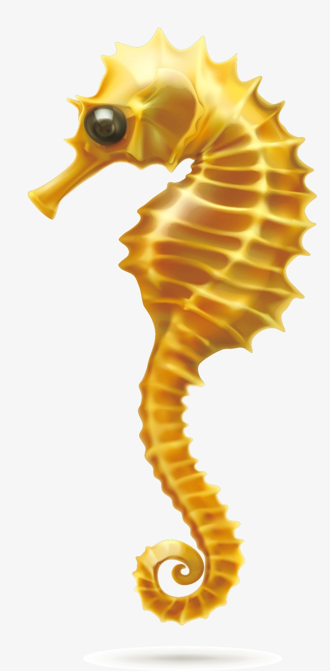 海马图标矢量素材