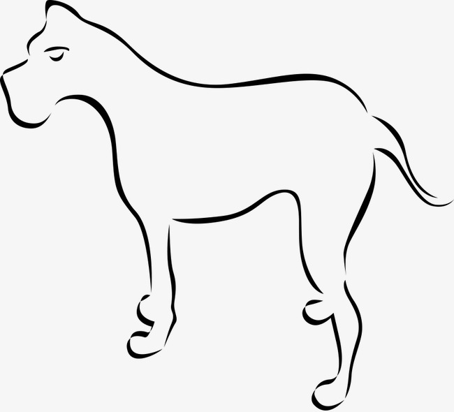 矢量动物线条酷