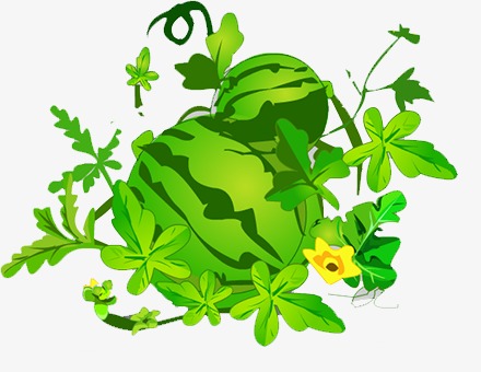 西瓜卡通_西瓜png素材-90设计