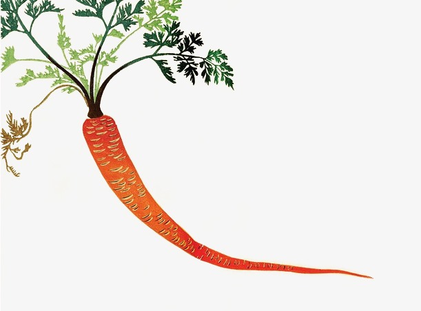 可爱卡通胡萝卜像素画装饰免抠元素