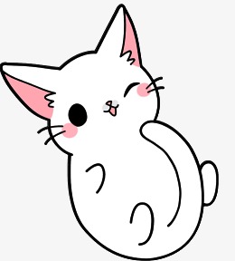 白色的小猫咪坐着