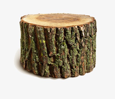 站立的树桩png素材-90设计