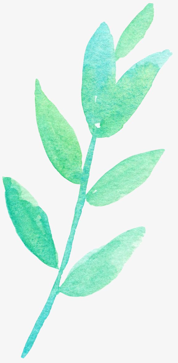 装饰图案草
