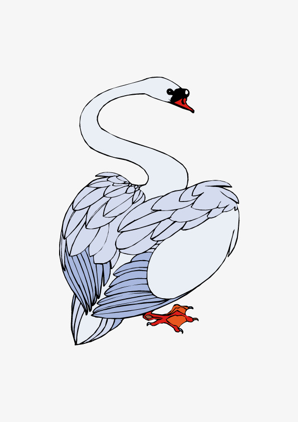 天鹅矢量素材