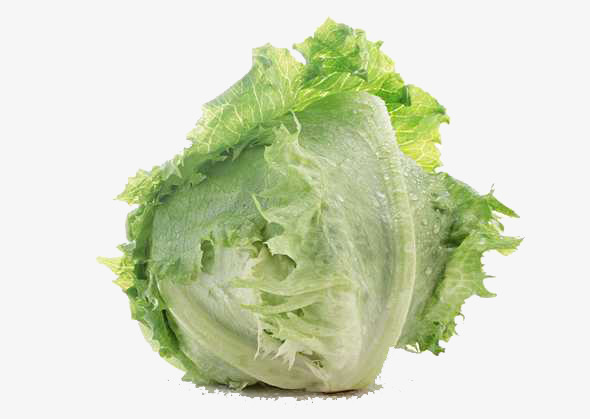 一颗新鲜的白菜