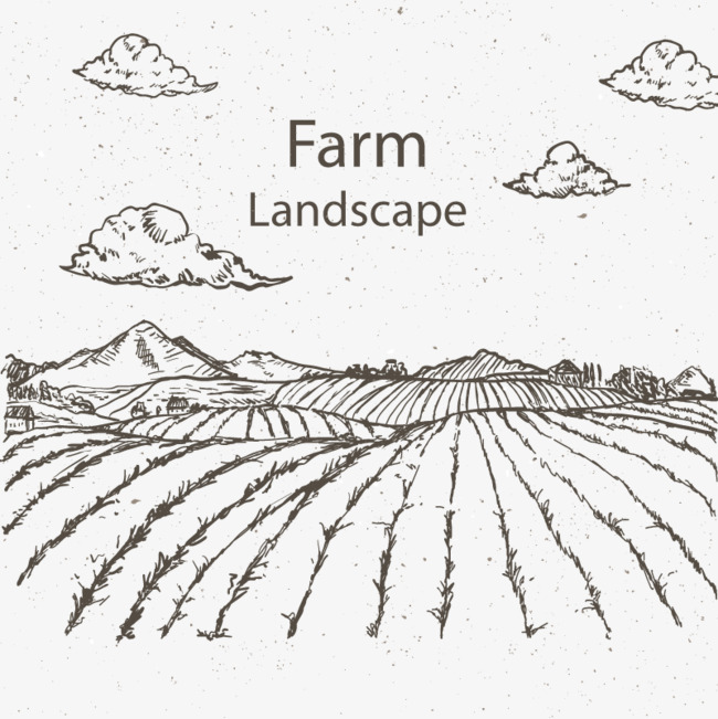 卡通装饰插画稻田植物平原插画元素