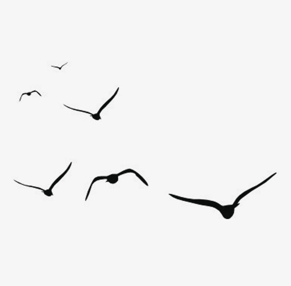 鸟群png素材-90设计