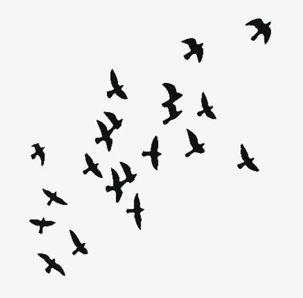 鸟群png素材-90设计