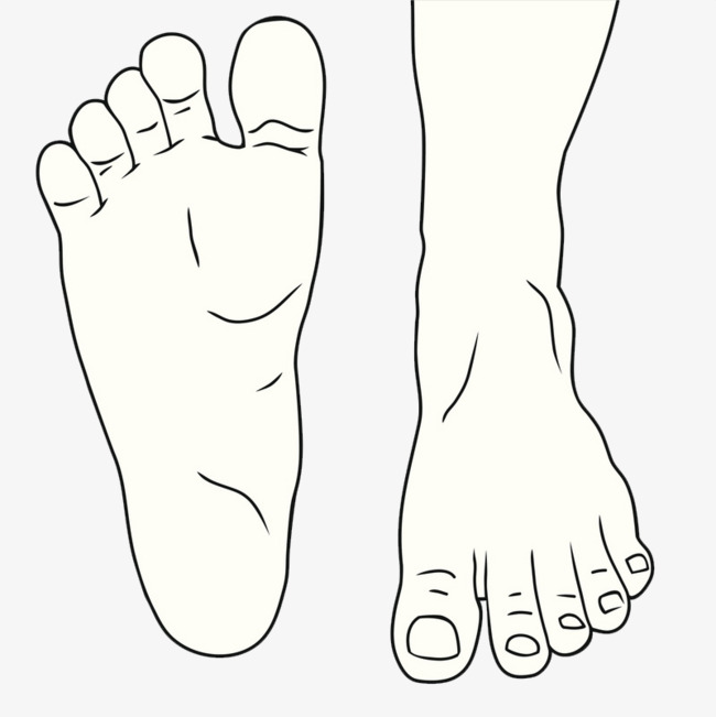 线描的脚 脚趾头 走路的脚掌 迈开的脚步