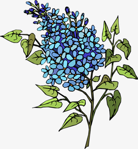 卡通手绘紫丁香花