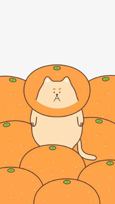 橘子猫