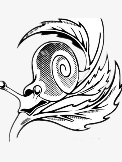 一个黑白相间条纹的蜗牛