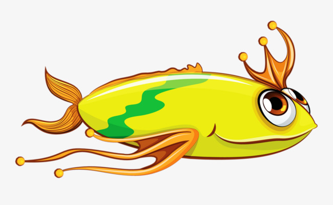 金色花纹小丑鱼