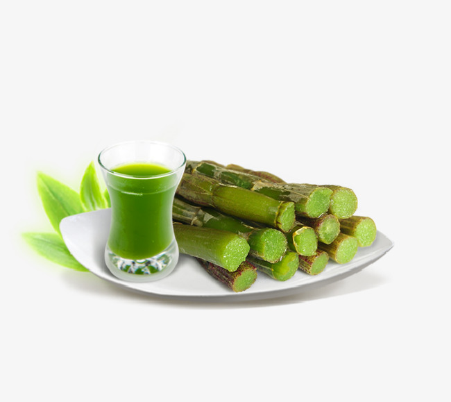 绿色新鲜有机物