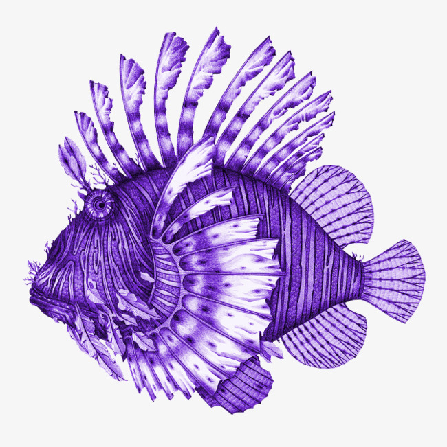 卡通海洋鱼动物png素材-90设计