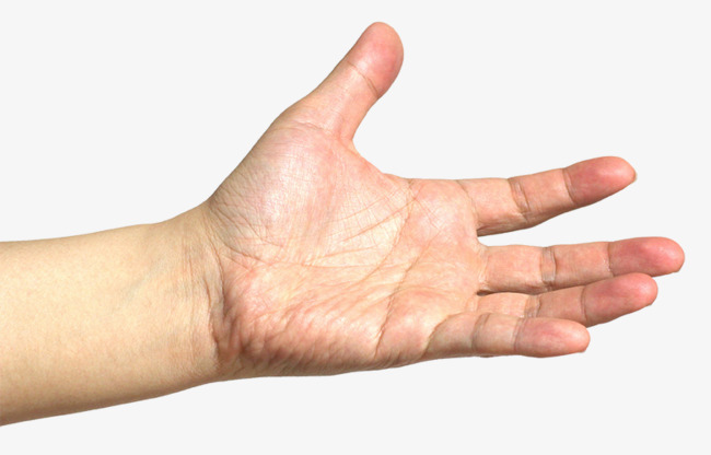 张开的手掌png素材-90设计