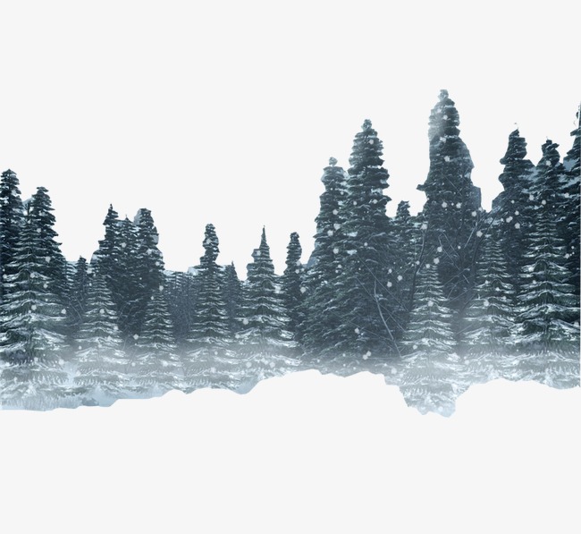 森林海报背景_森林png素材-90设计