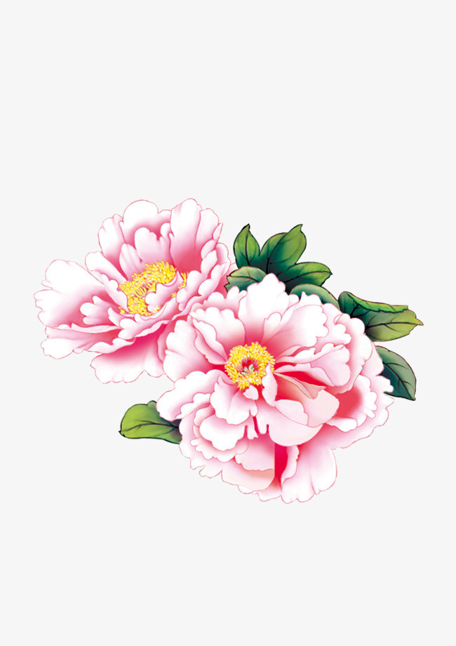 牡丹【高清装饰元素png素材】-90设计