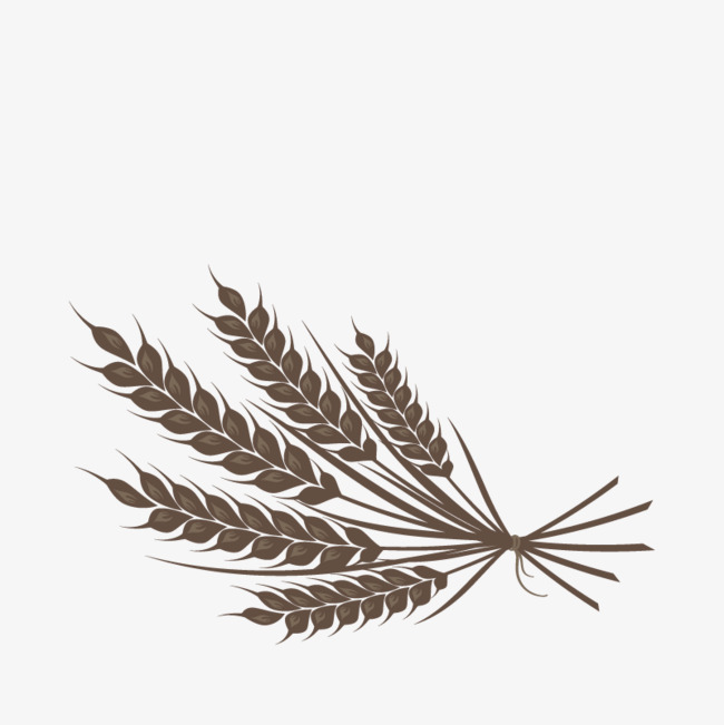 矢量稻穗png素材-90设计