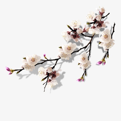 手绘水墨风桃花树枝免扣元素设计