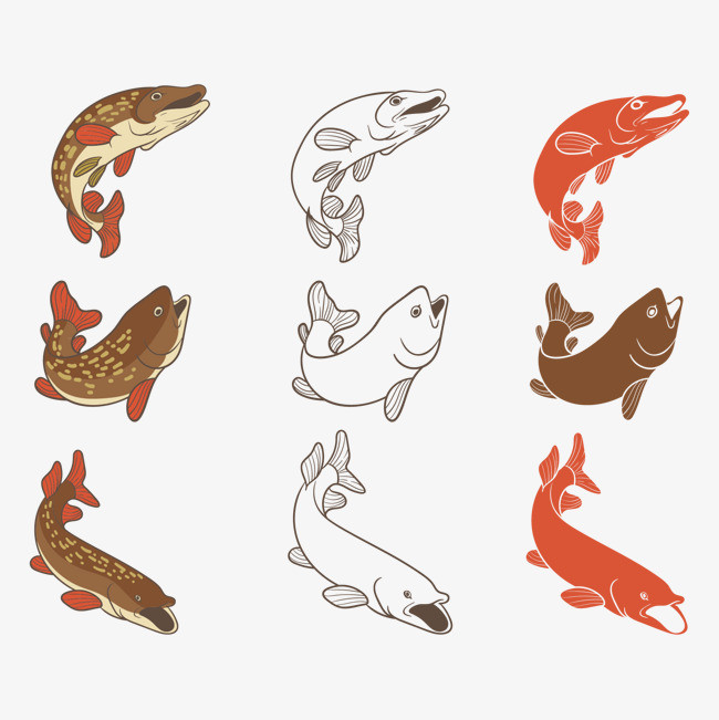 矢量图海鱼鱼png素材-90设计