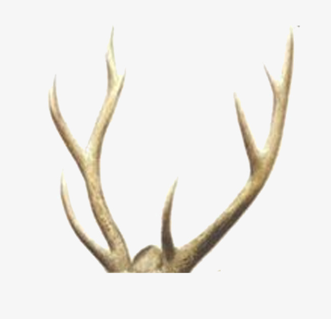 矢量糖果色马卡龙色六一儿童节旋转木马免扣素材