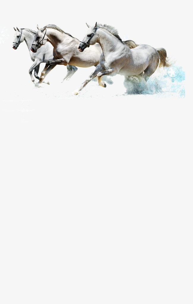 中国风马矢量图